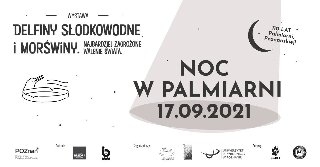 Noc w Palmiarni