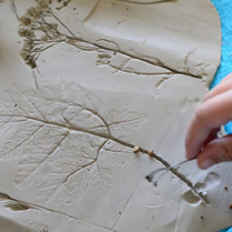 odciskanie śladów roślin w glinie