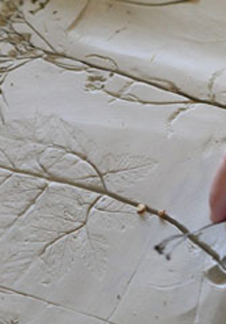 odciskanie śladów roślin w glinie