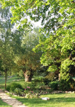 park