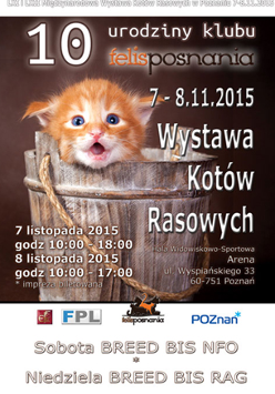 plakat