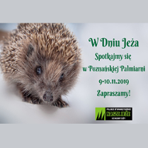 Zdjęcie jeża, zielone napisy po prawej stronie