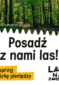 Na górze las, poniżej napis: "Posadź z nami las, Wesprzyj zbiórkę pieniędzy".