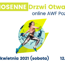 zdjęcie dekoracyjne