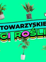 Kolorowy napis Towarzyskie Targi Roślinne, dookoła donice z kwiatami, wszystko na zielonym tle.