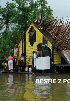 Żółty dom na wodzie, kilka osób stojących obok. Z dachu wychodzą kolce. Napis "Bestie z południowych krain"