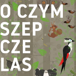 Na szarym plakacie rysunko-wycinanki zwierząt z lasu i nazwa spektaklu.