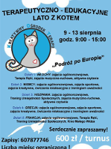 Kot w kole. Informacje, które są w tekście artykułu.