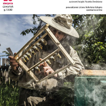 Zdjęcie pszczelarza przy ulu.