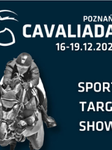 Jeździec na koniu. Tytuł i data wydarzenia.