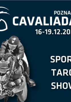 Jeździec na koniu. Tytuł i data wydarzenia.