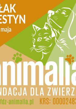 Rysunek kota i psa oraz nazwa wydarzenia.