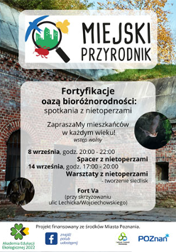 Fort oraz informacje, które znajdują się w treści artykułu.