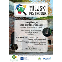 Fort oraz informacje, które znajdują się w treści artykułu.