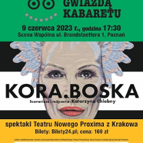 Głowa kobiety w siwych włosach na biało-czarnym tle w paski. Na dole zółty pasek, a do góry zilelony z informacjami o spektaklu. Po środku plakatu i głowy tytuł.