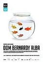 Premiera spektaklu "Dom Bernardy Alba"