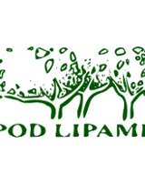 Recital Jacka Stęszewskiego z zespołem