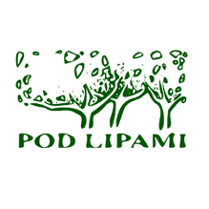 Recital Jacka Stęszewskiego z zespołem