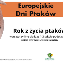 Rok z życia ptaków