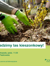 W Poznaniu powstaje las kieszonkowy