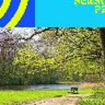 Park. Alejka w parku, ławka i sadzawka.