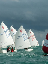 Srebrny Żagiel Optimista