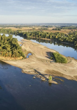 Rozwidlająca się rzeka na dwie gałęzie tworzy wysepkę po środku. Otaczają ją plaże i lasy.