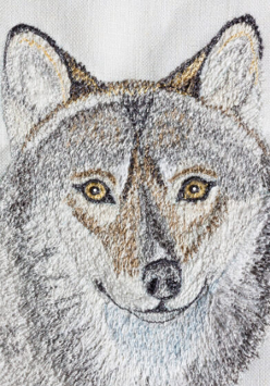 Wilk - rysunek na tkaninie