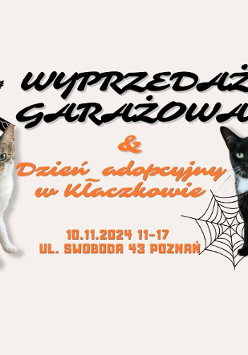 Zdjęcie to reklama garażowej wyprzedaży i wydarzenia adopcyjnego. Zawiera obraz dwóch kotów, jednego czarnego i jednego pręgowanego, oraz informacje o dacie, godzinie i lokalizacji wydarzenia. W tle widoczna jest pajęczyna i nietoperze, co prawdopodobnie ma przekazać tematykę halloweenową.