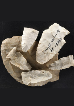 Fragment ekspozycji