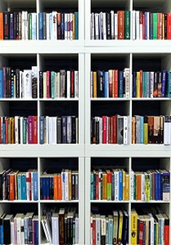 Całość zdjęcia wypełnia biała półka, na której są ułożone książki.