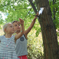 Dzieci bawiące sie w podchody w lesie.