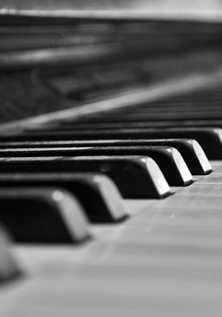 Zdjęcie fragmentu instrumentu klawiszowego.