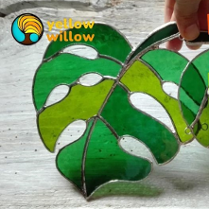 zielony, sercowaty liść Monstery w postaci witrażu