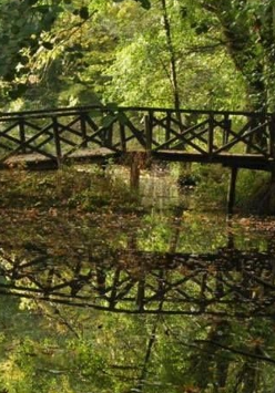 Drewniany mostek nad małą rzeką w lesie Na wodzie liście. Z tyłu drzew przebija się światło słoneczne.