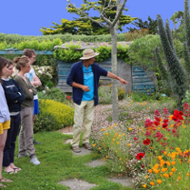 Przewodnik wskazujący na rośliny i opowiadający o nich. Po jego prawej ludzie słuchający i podziwiający otaczający ich wielobarwny ogród.