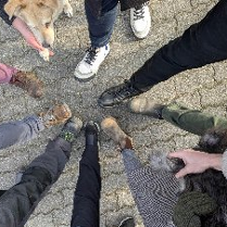 Grupa osób stoi w kręgu na brukowanej nawierzchni, dotykając się czubkami butów. W kadrze widać tylko nogi i obuwie, a z boku pojawiają się dwa psy.