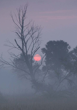 zimowa panorama z czerwonym księżycem