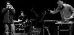 Koncert - Starlicker