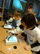 Foto: Dwoje dzieci oglada preparaty przez mikroskopy.