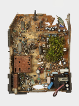 Instalacja Diany Lelonek