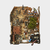 Instalacja Diany Lelonek