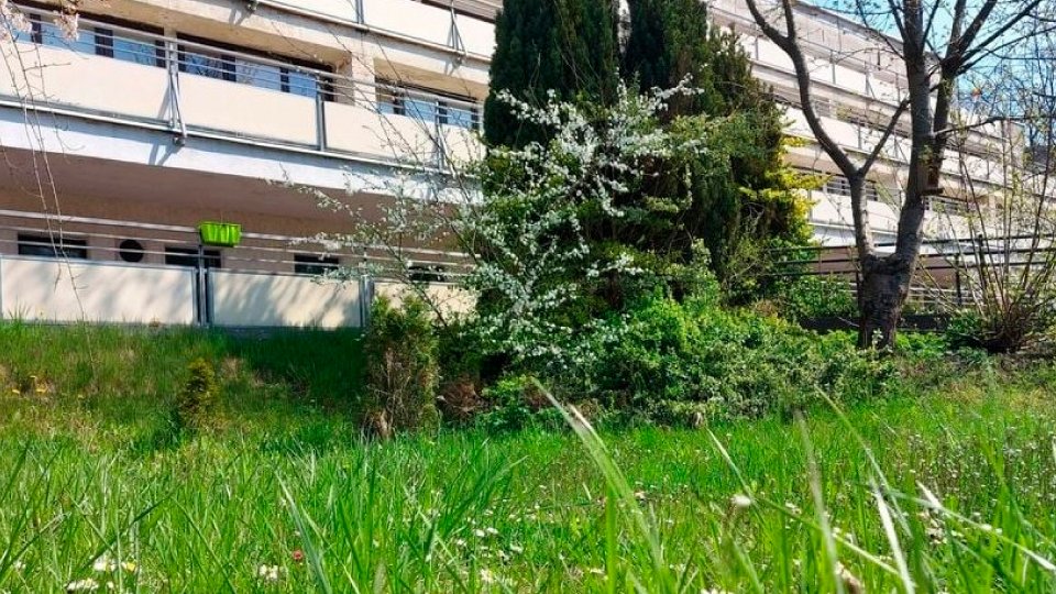 widok trawy i fragmentu budynku DPS przy ul. Ugory - grafika artykułu