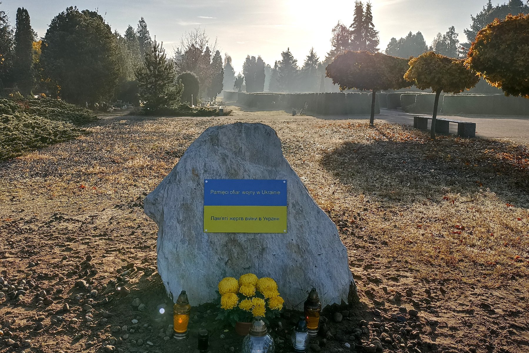 Na zdjęciu biały kamień na cmentarzu, na nim tabliczka, przed nim żółte znicze - grafika artykułu