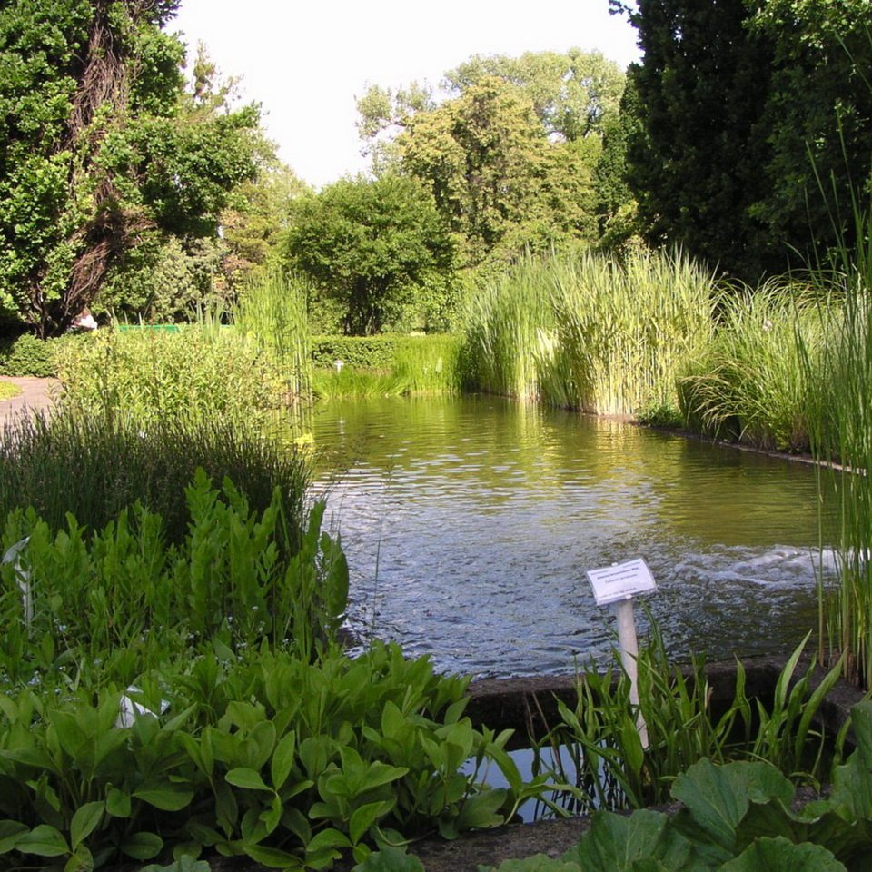 Ogród Botaniczny