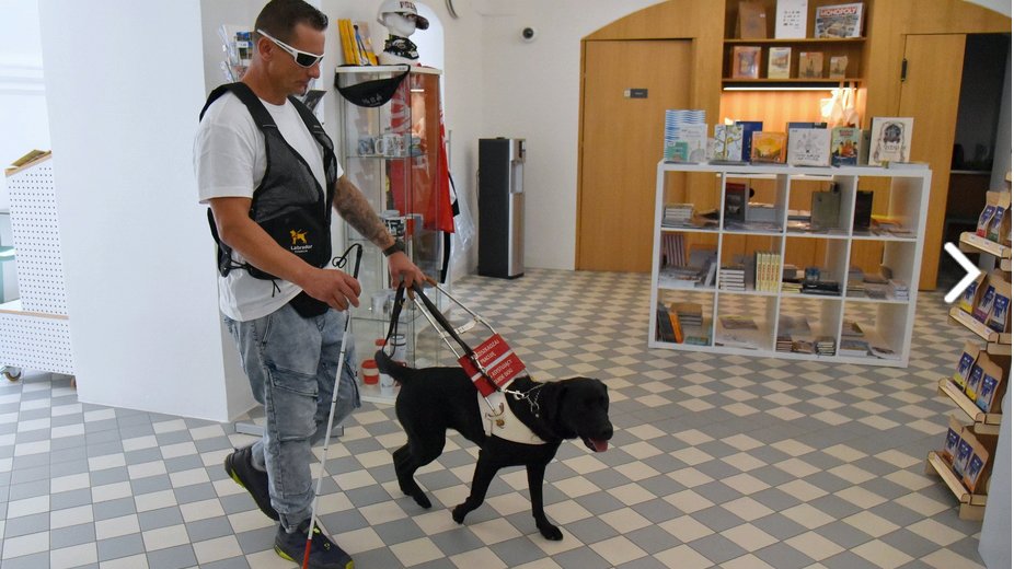 Mężczyzna z psem asystującym wchodzi do budynku urzędu miasta Poznania na placu kolegiackim