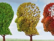 Światowy Dzień Choroby Alzheimera