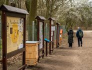 Życie pszczół bez tajemnic