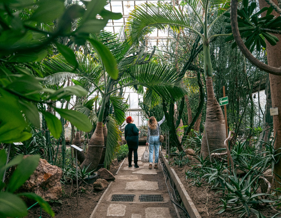 Dwie osoby w głębi, tyłem do obiektywu, idą ścieżką pośród bujnej, egzotycznej roślinności w palmiarni lub ogrodzie botanicznym. Scena jest zdominowana przez duże liście palm, pnie i zielone krzewy. Kobieta po prawej, ubrana w jasne dżinsy, wskazuje prawą ręką w górę. Po prawej stronie widoczna jest zielona strzałka kierunkowa.