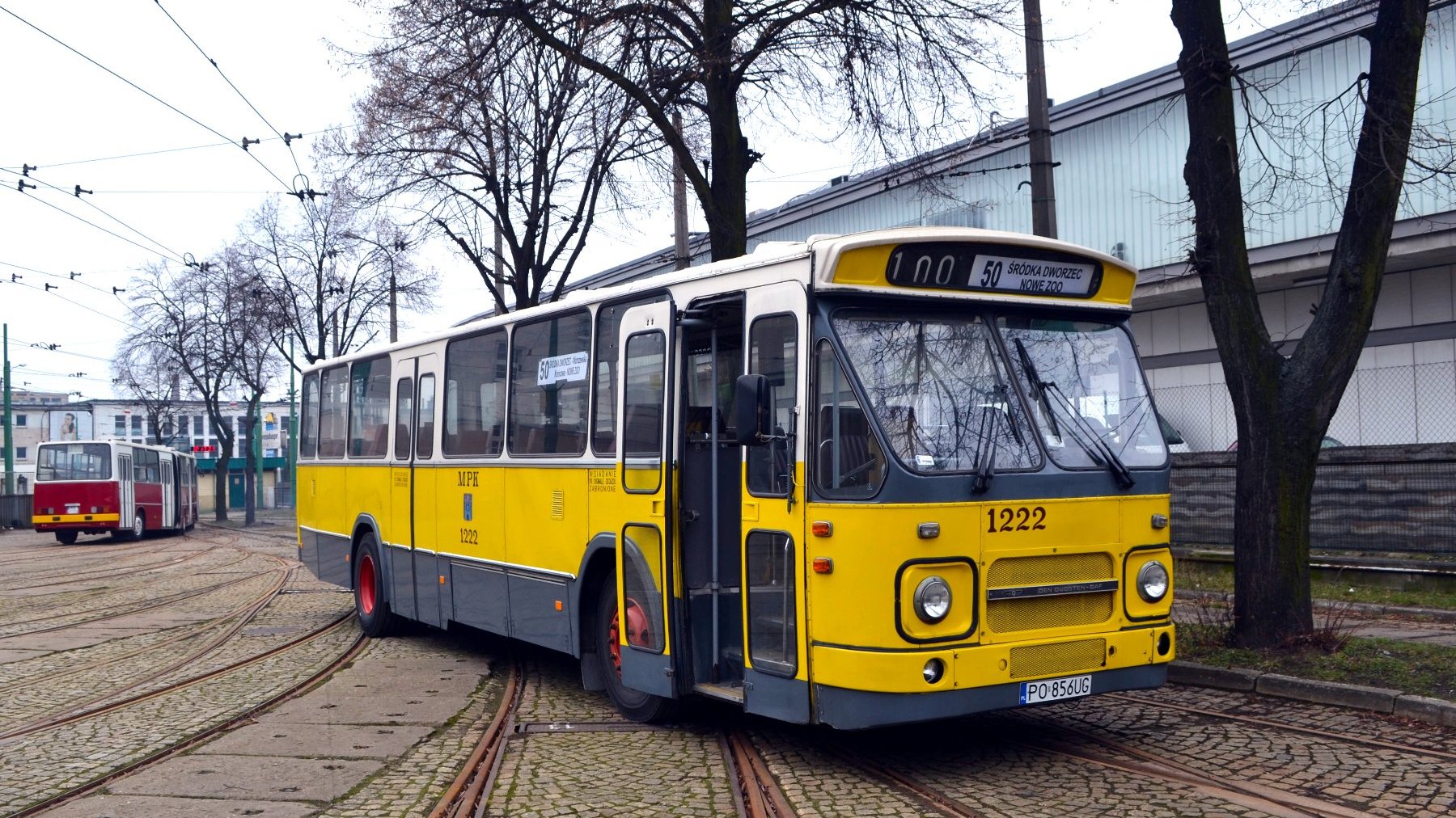 Galeria zdjęć biało-żółto-szarego autobusu DAF - grafika artykułu